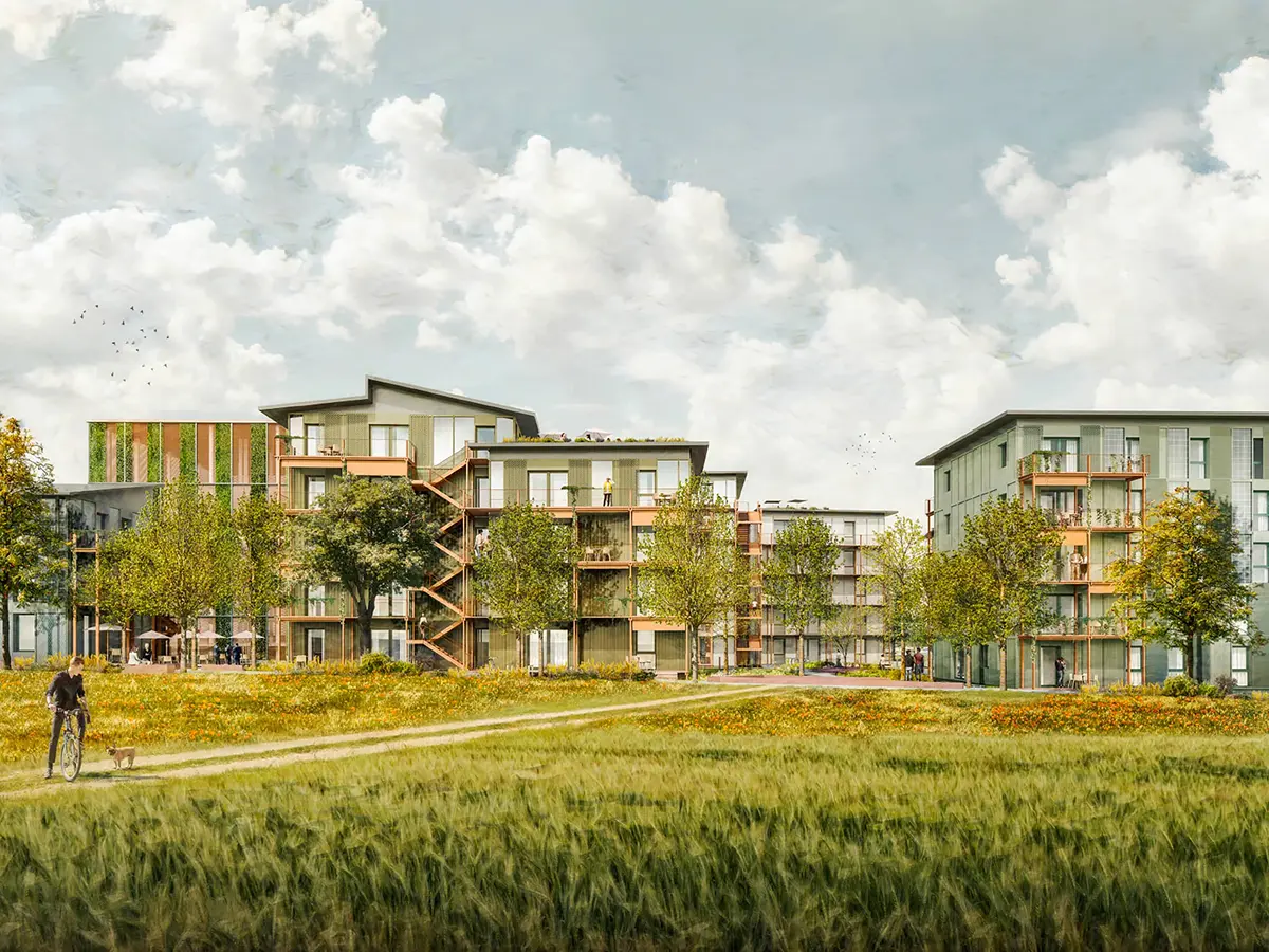 Visualisierung Wohnquartier KaepseLE Baufeld Süd: Holzbauten mit Balkonen in grüner Feldlandschaft