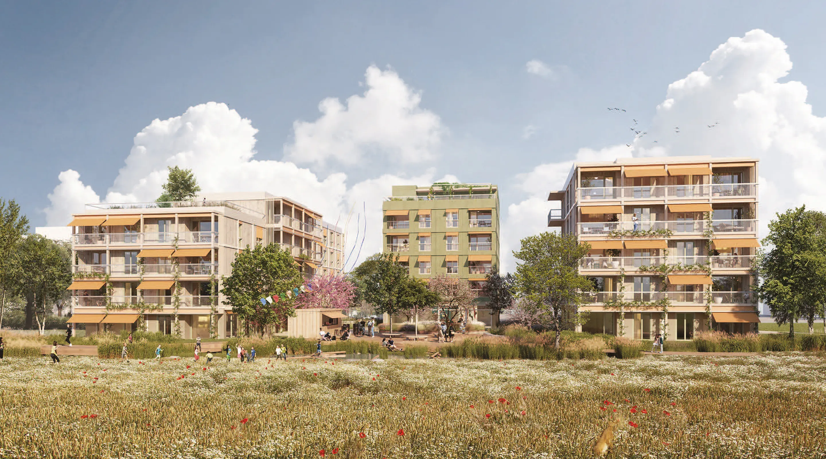 Visualisierung Baufeld Mitte KaepseLE: Holzbauten mit Balkonen und Blumenwiese im Vordergrund