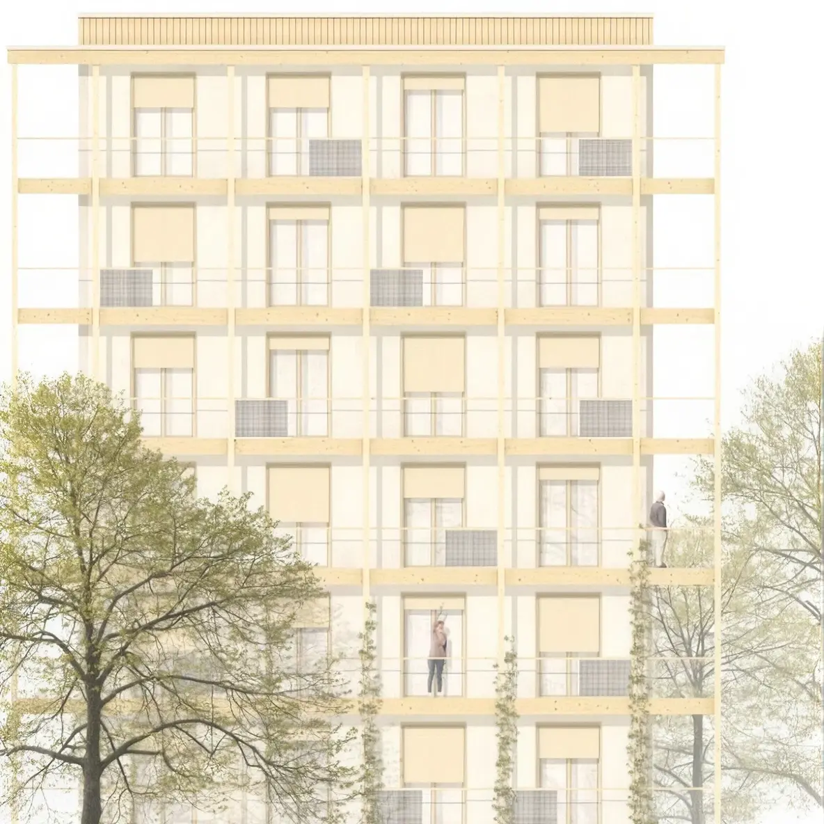 Architekturzeichnung KaepseLE: Mehrgeschossige Holzbaufassade mit Balkonen und vertikaler Begrünung